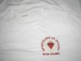 CAMISETA P, M, G E G G